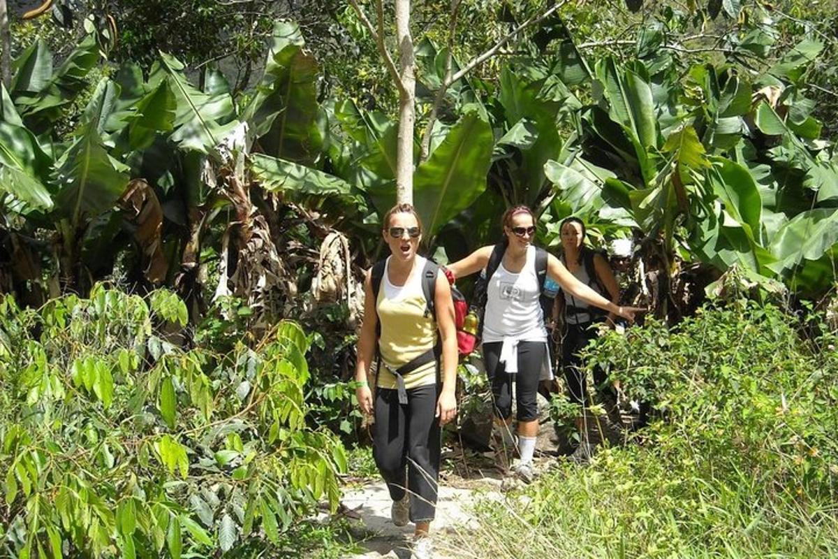 due donne che camminano lungo un sentiero nella giungla