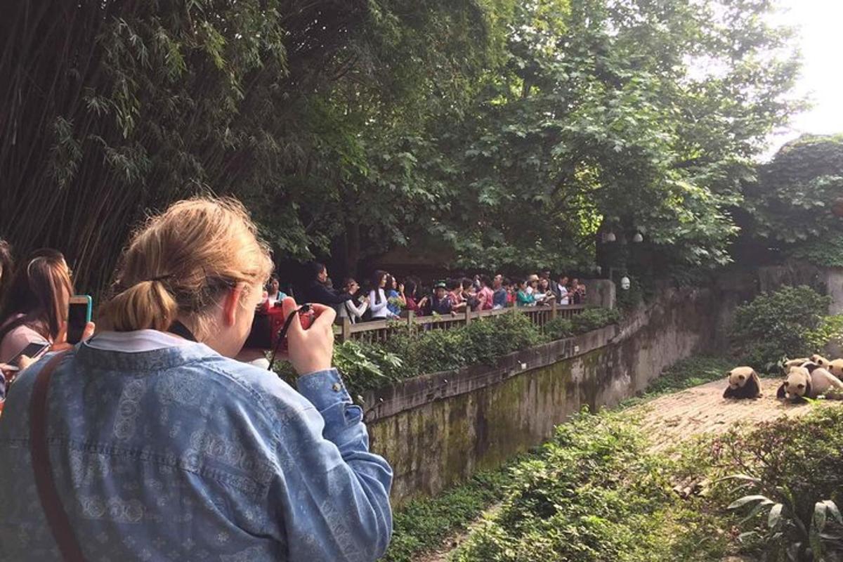Zdjęcie numer 1 atrakcji