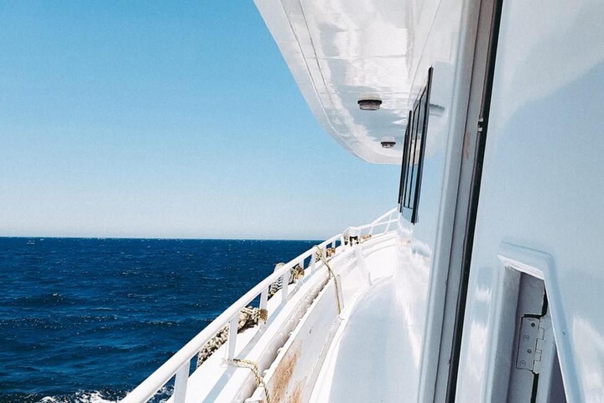 una vista de l'oceà des d'un creuer