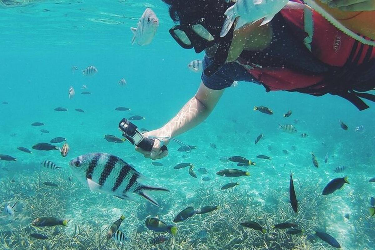 4枚目の観光スポット・アクティビティの写真