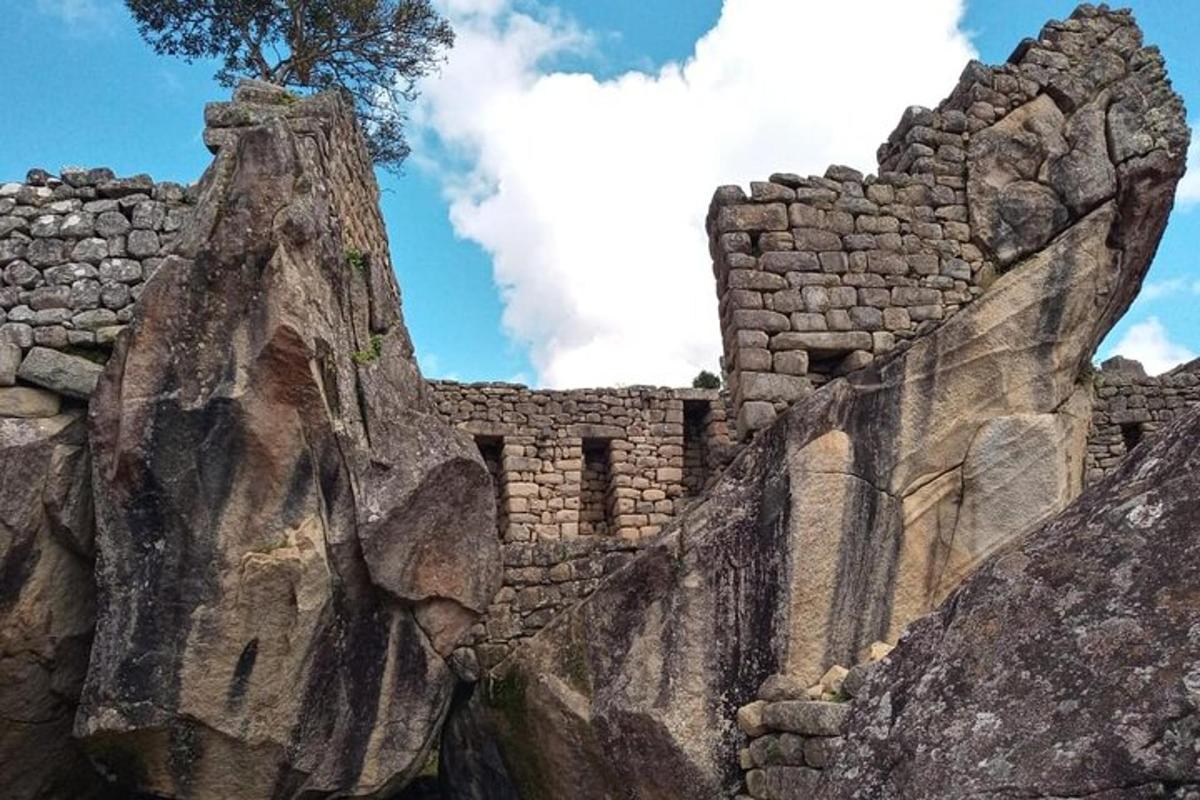 a rock formation with a tree on top of it