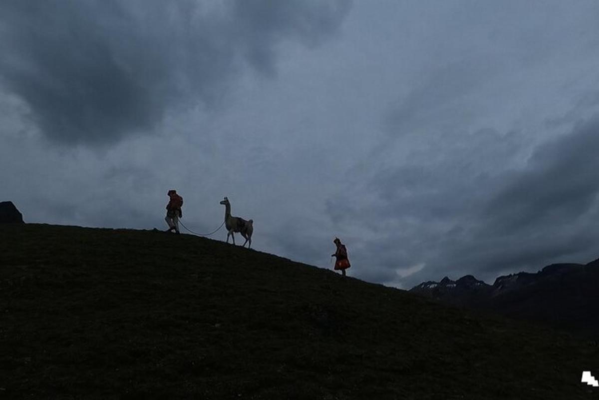 two people and a camel on top of a hill