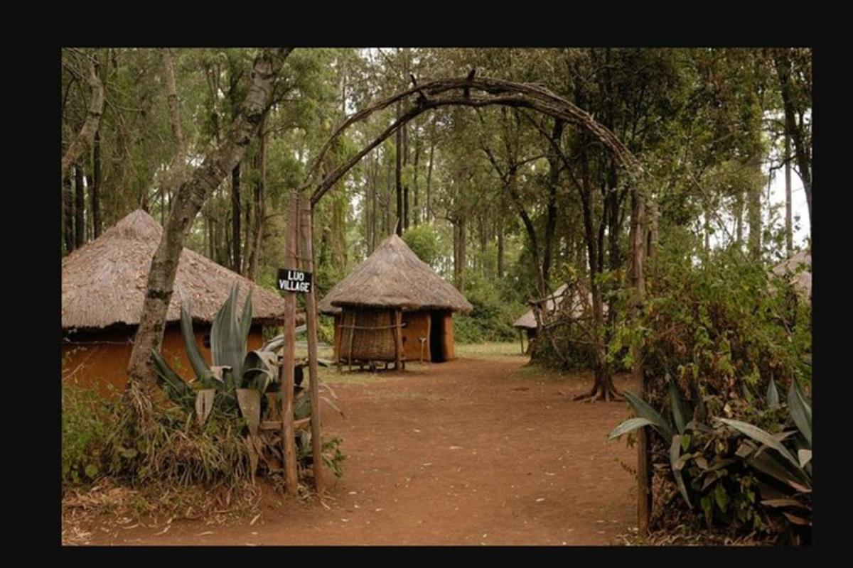un grup de cabanes al mig d'un bosc
