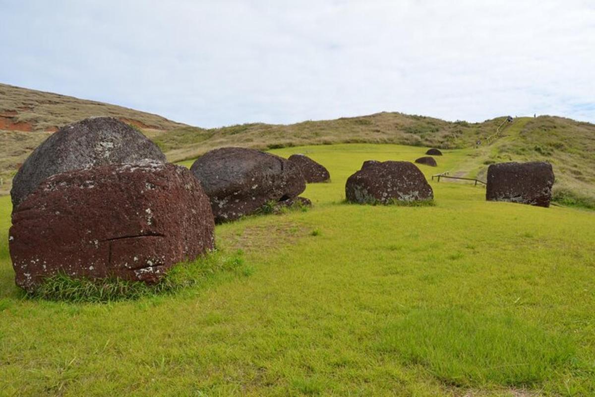 a group of large rocks in a grassy field