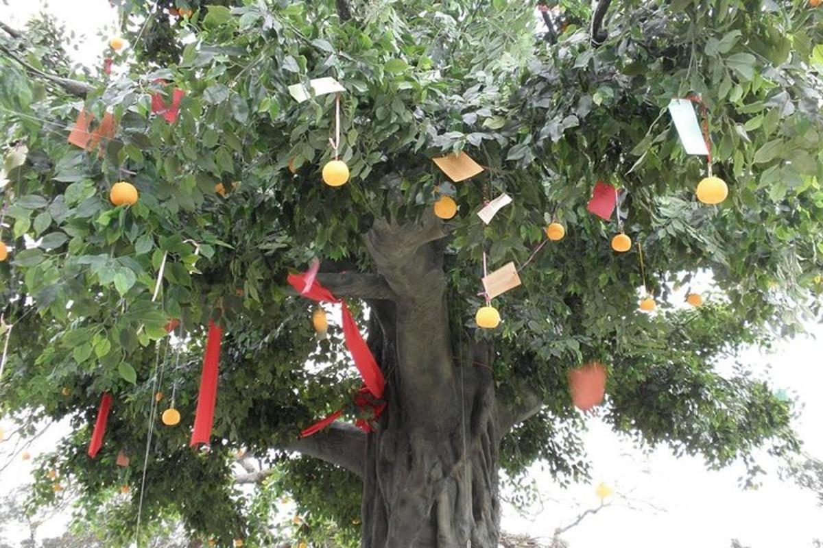 ein Orangenbaum mit roten Schleifen und Bons geschmückt