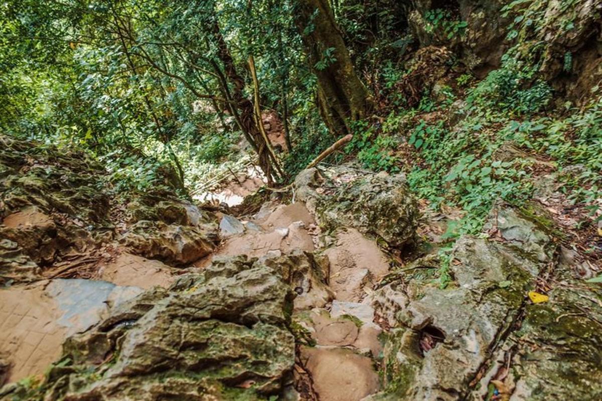 una collina rocciosa con alberi e piante su di essa