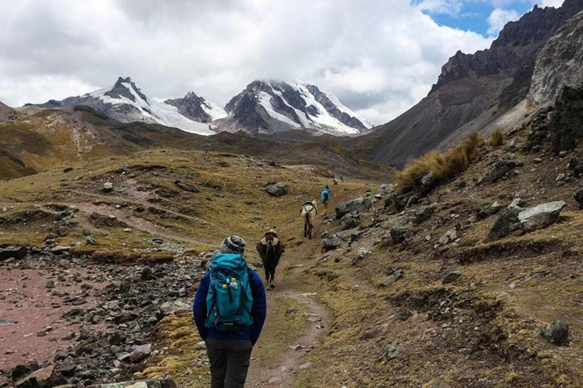 un gruppo di persone che camminano su un sentiero di montagna