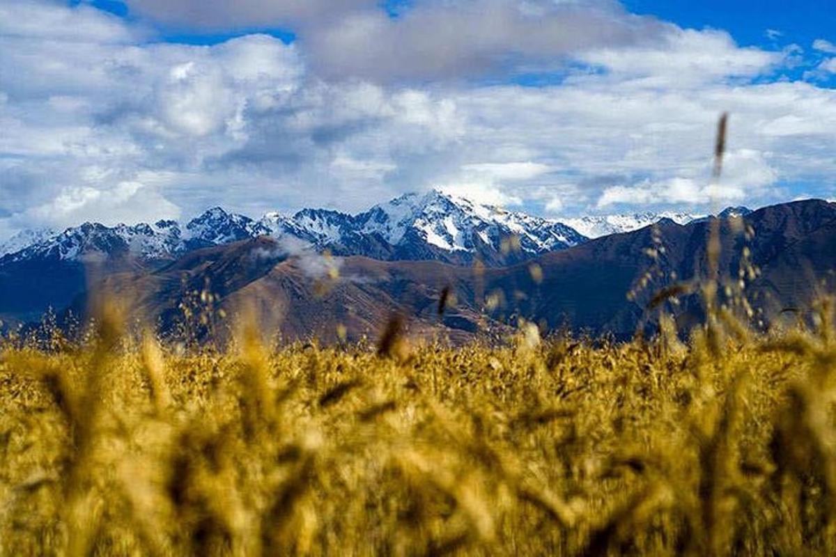 pemandangan banjaran gunung dengan gunung yang dilitupi salji