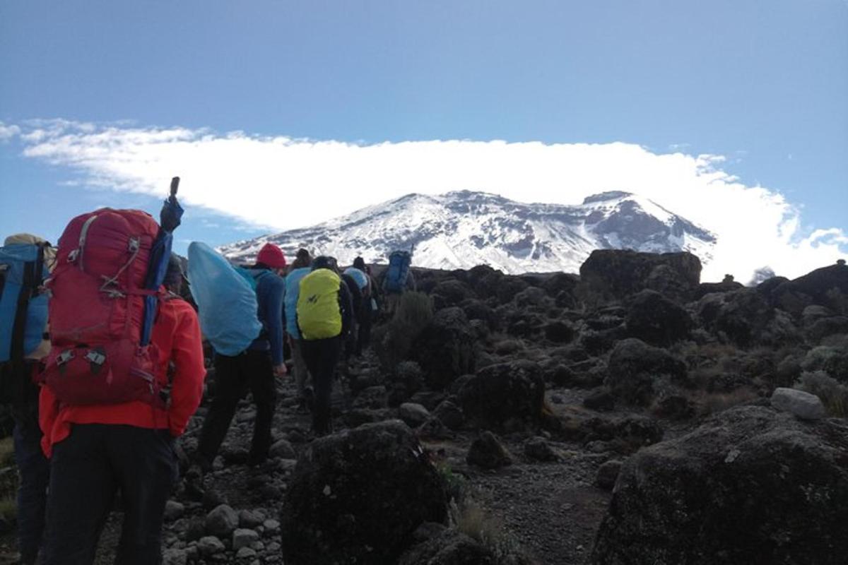 sekelompok orang dengan ransel di gunung