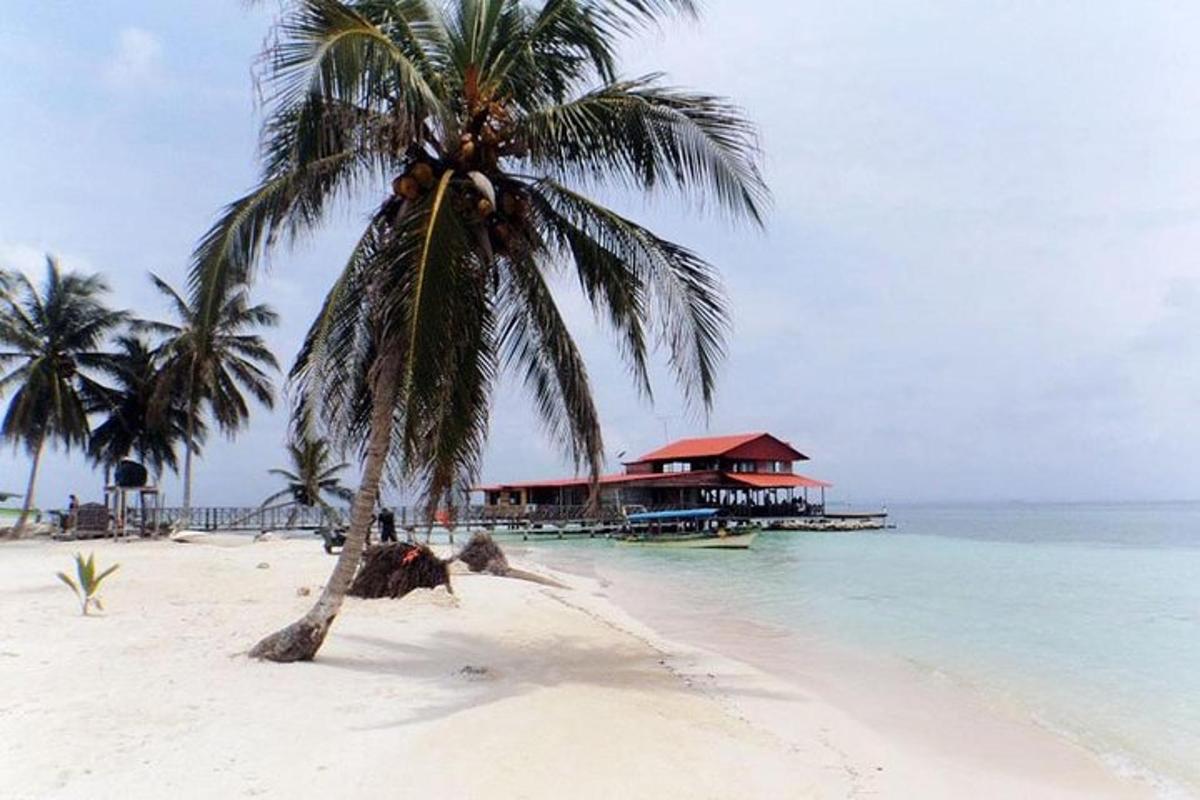 eine Palme an einem Strand mit einem Haus im Wasser