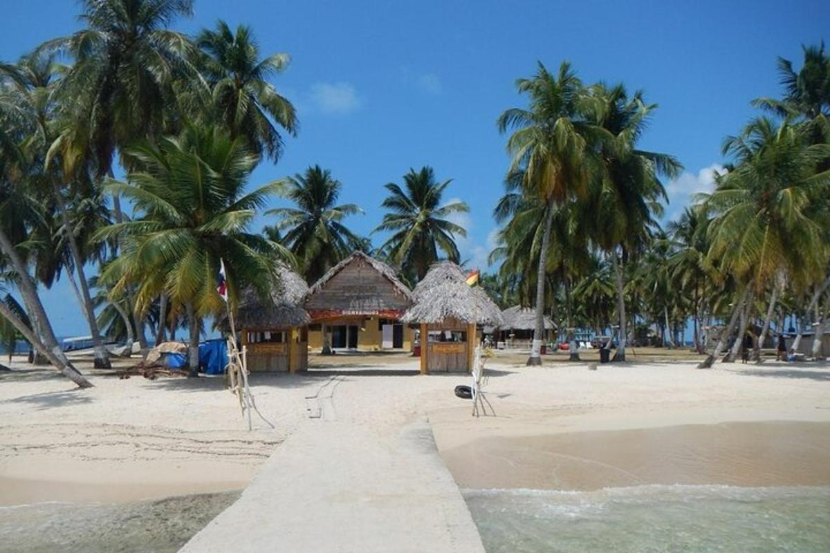een strand met palmbomen en een hut