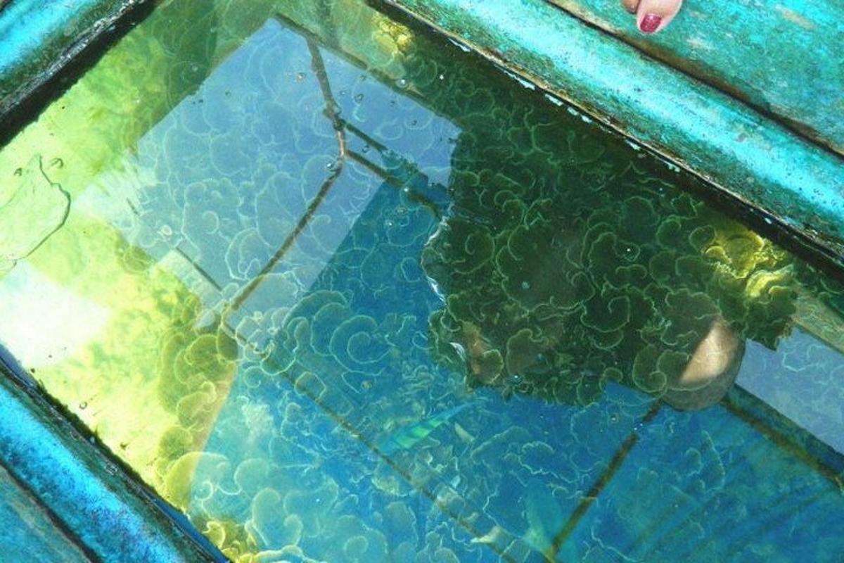 una persona en el agua en una piscina