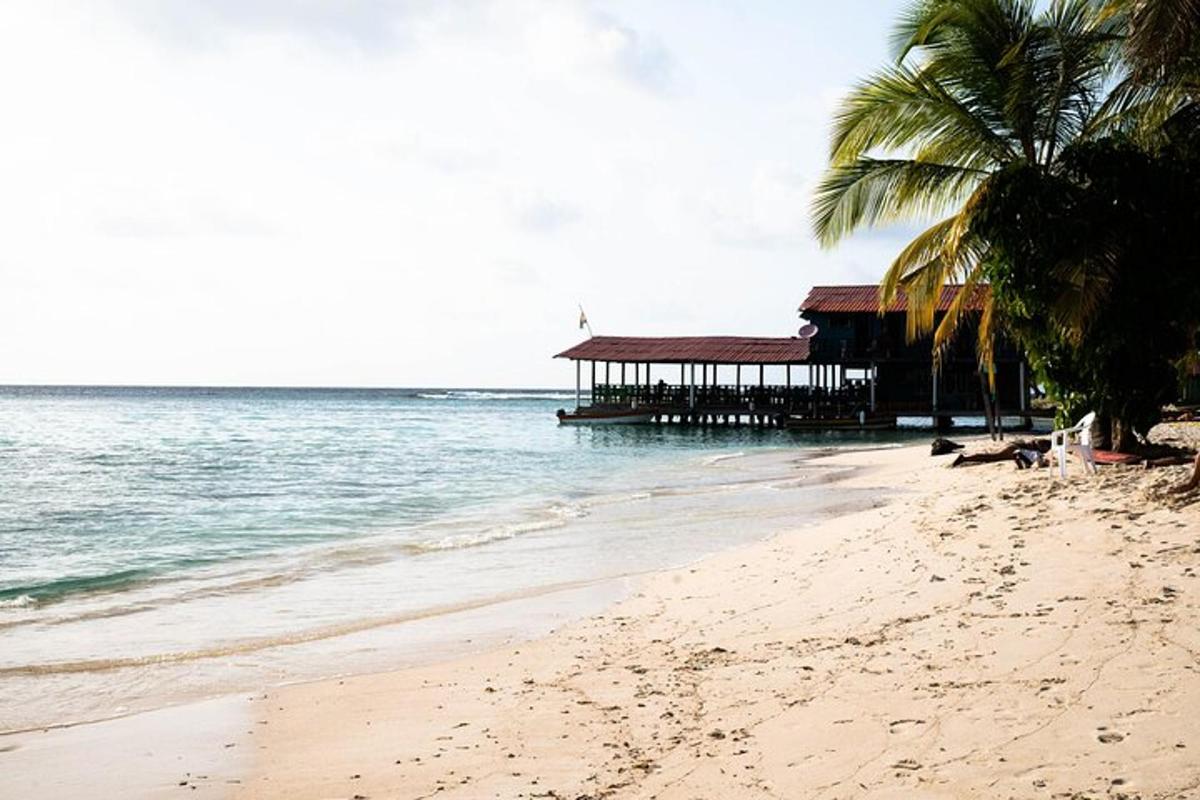 egy strand egy épülettel, pálmafákkal és az óceánnal