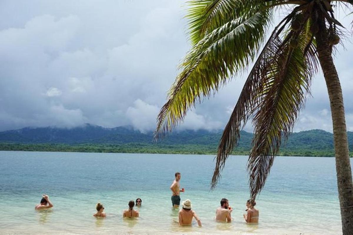 Un grupo de personas en el agua cerca de una palmera.