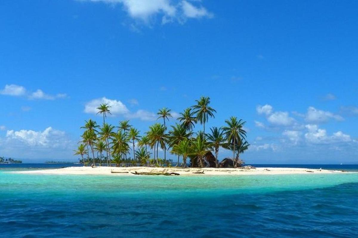 una isla tropical con palmeras en una playa