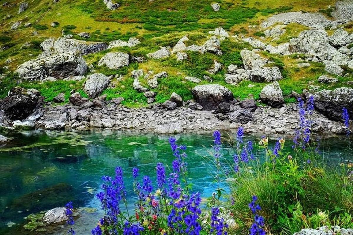 sungai dengan bunga biru dan batu dan rumput