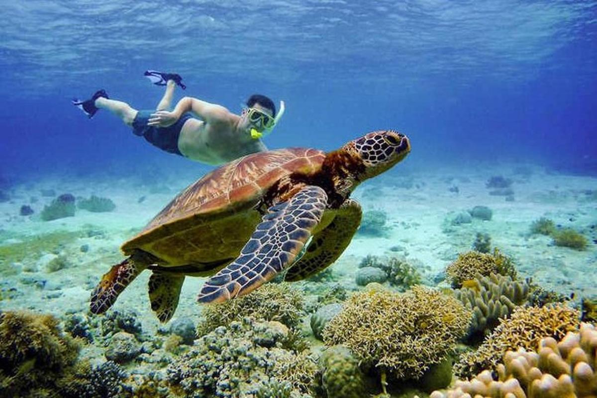 muž plávajúci nad korytnačkou v oceáne