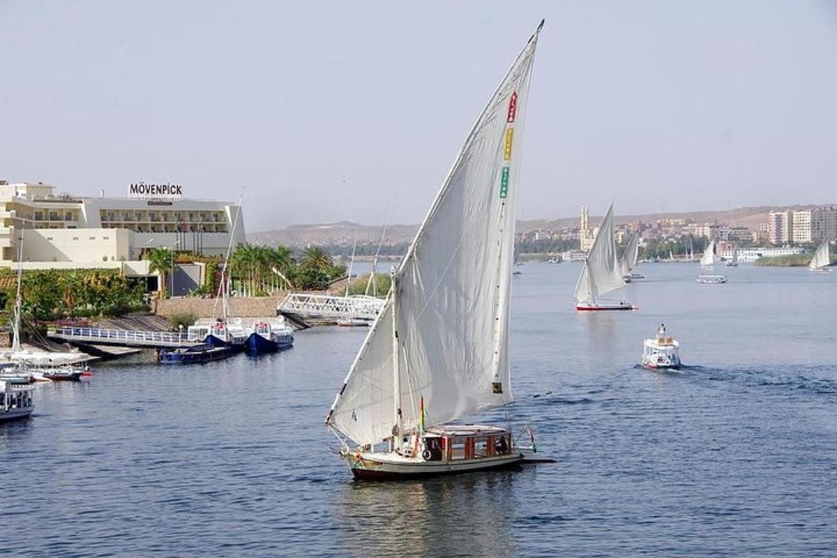 een groep zeilboten op het water in een haven