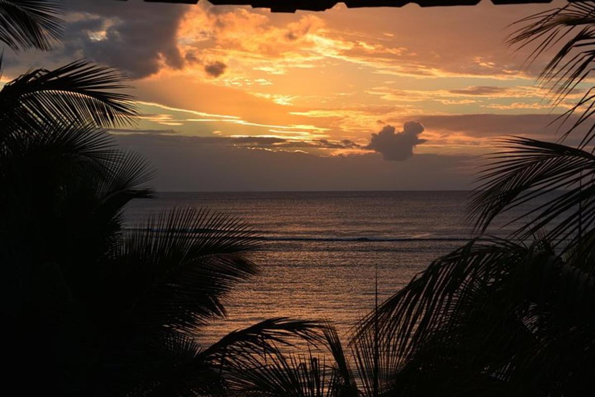 Una puesta de sol sobre el océano con palmeras en primer plano.