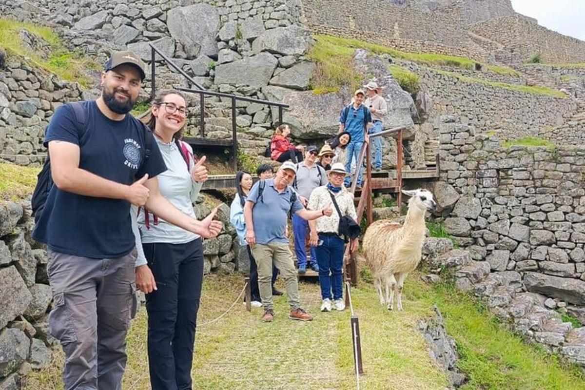 sekumpulan orang berjalan-jalan dengan llama