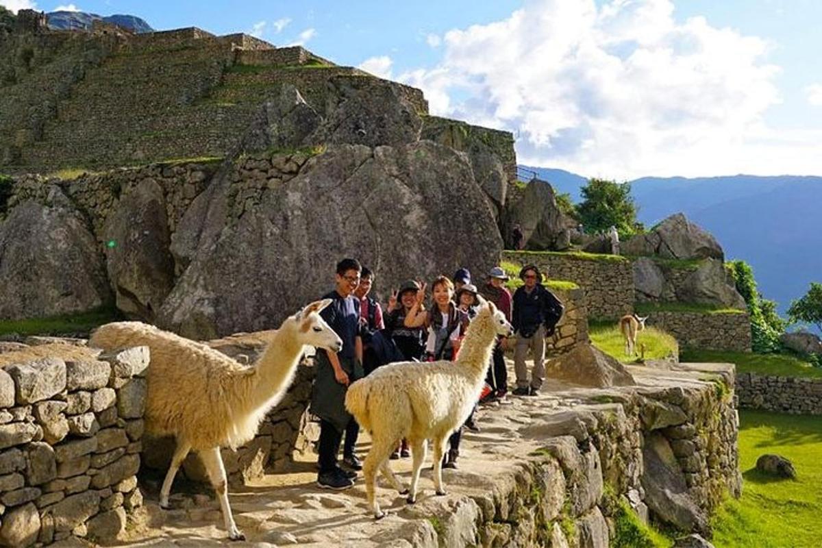un gruppo di persone in piedi su un muro di pietra con le pecore
