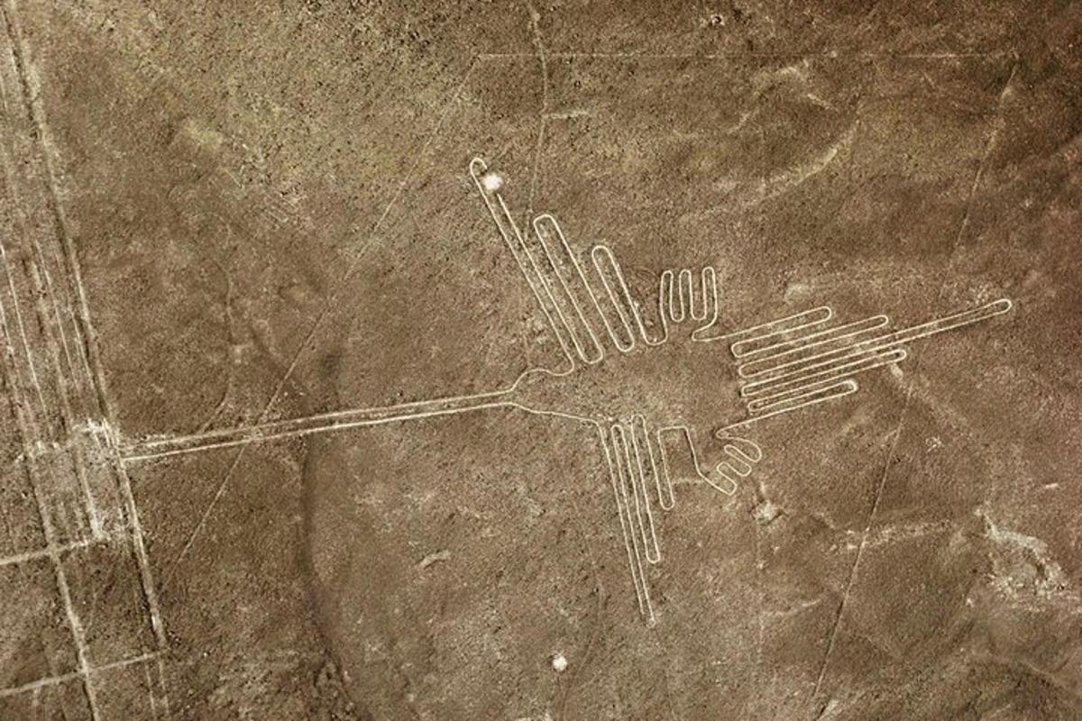 un dibuix de dues forquilles a terra