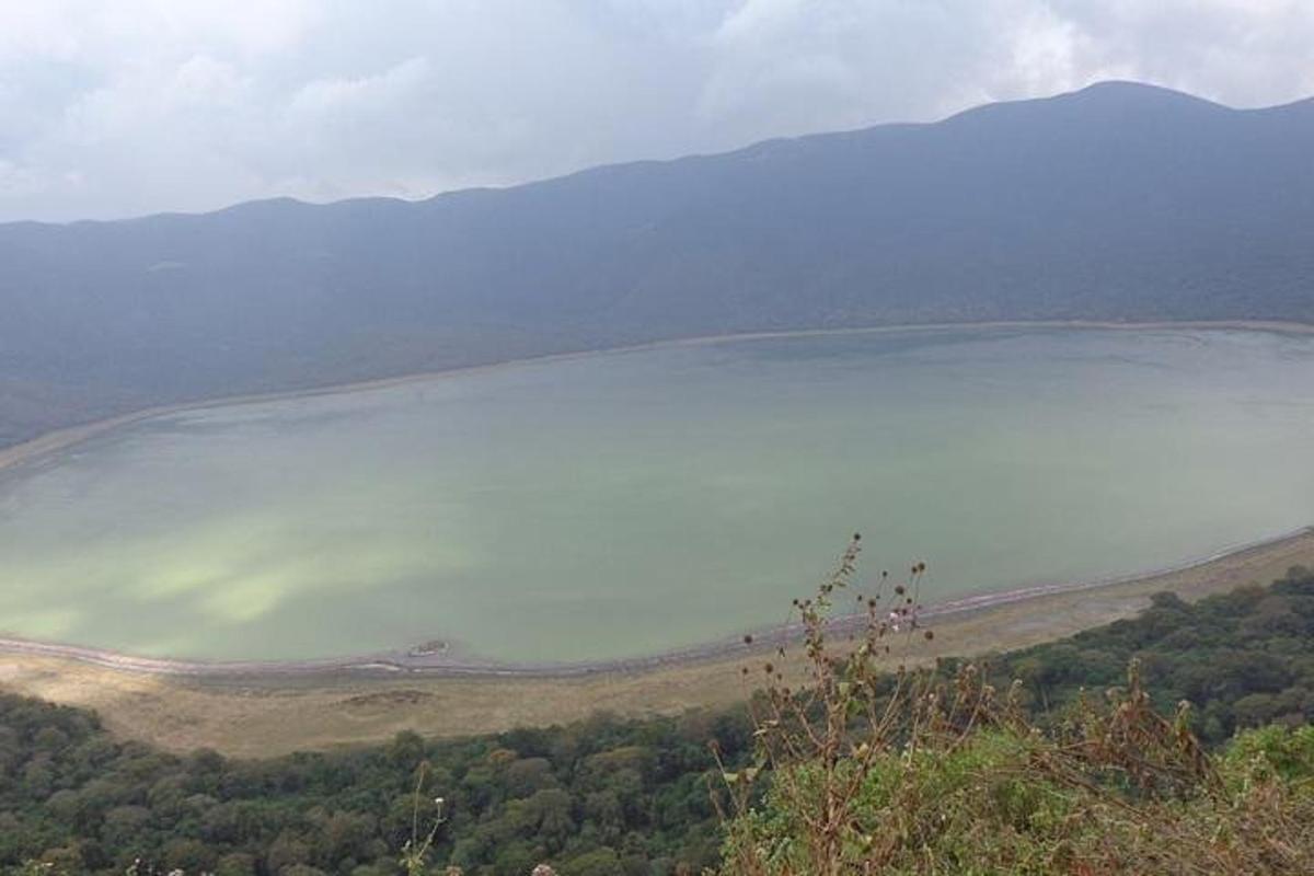 pohled na jezero uprostřed pole