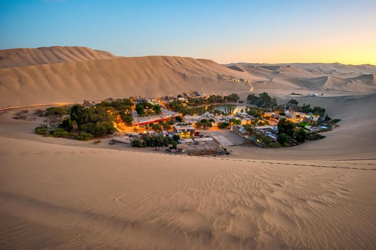 an aerial view of a resort in the desert