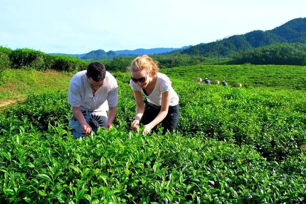 dua orang berdiri di ladang semak-semak