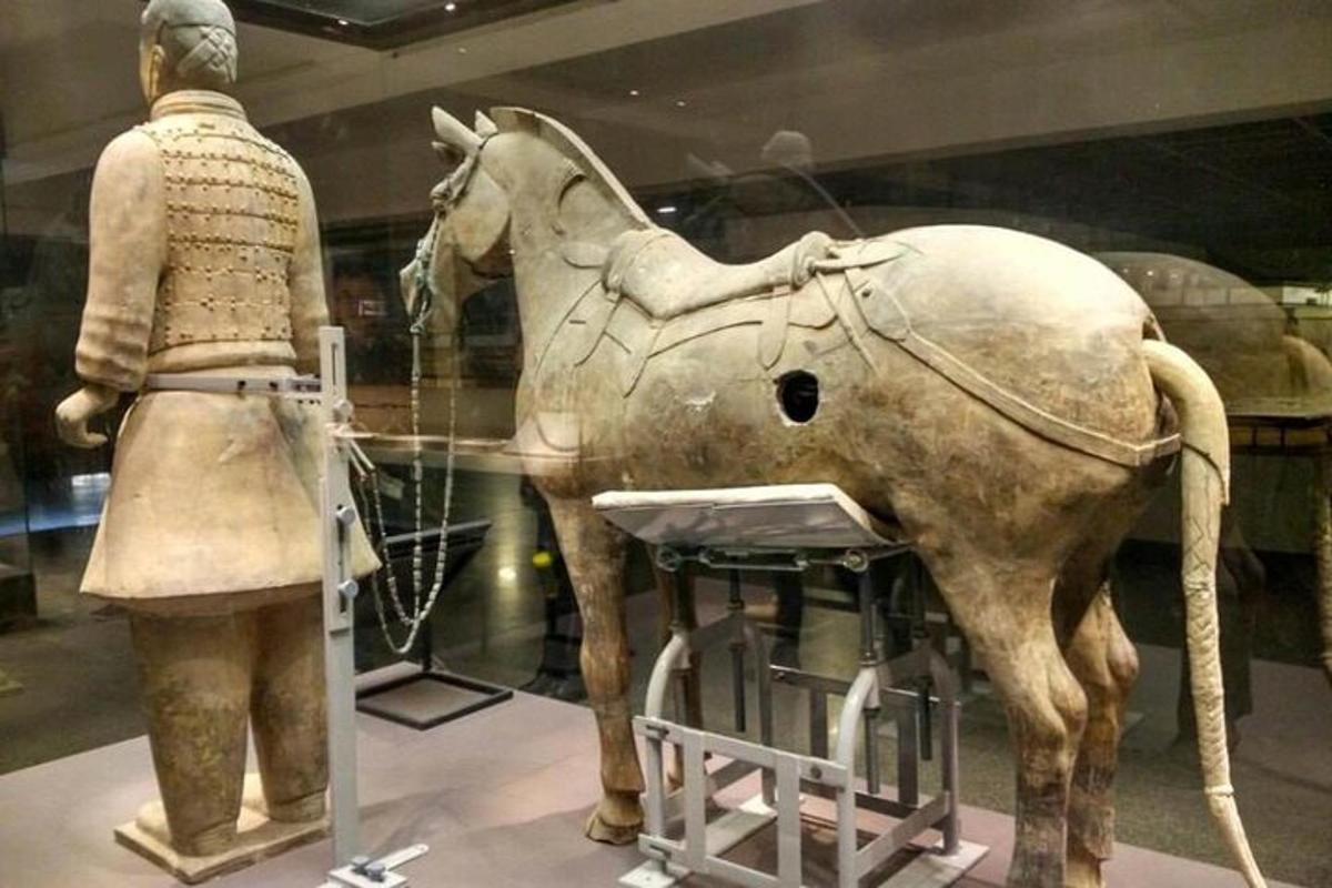 una statua di un uomo e un cavallo in un museo
