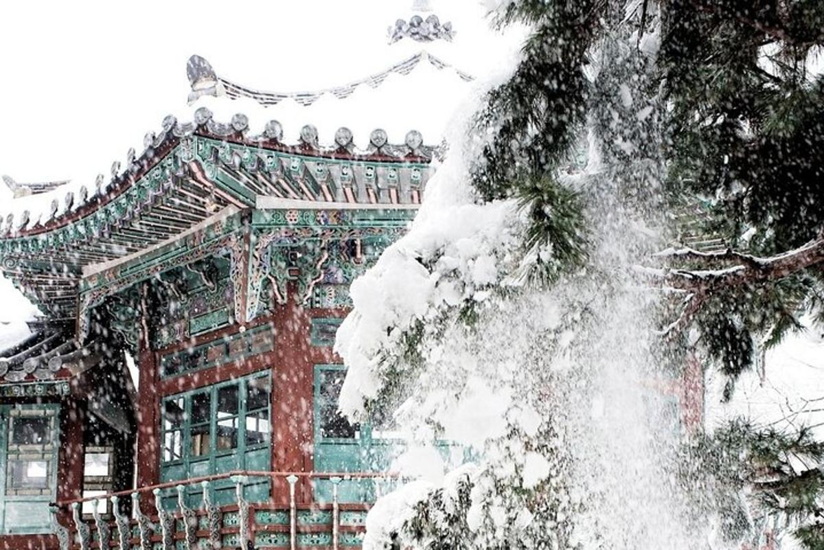 a building covered in snow in front of a fountain
