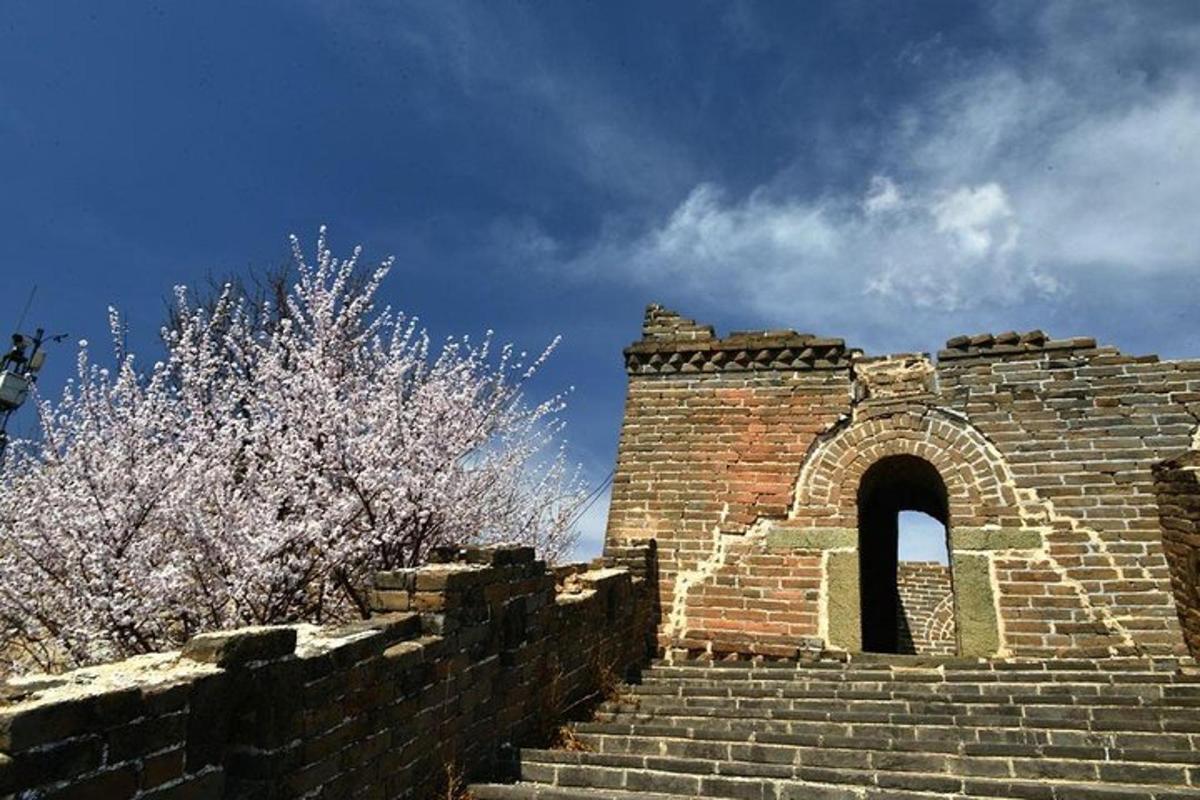 a brick wall with an arch in front of two trees