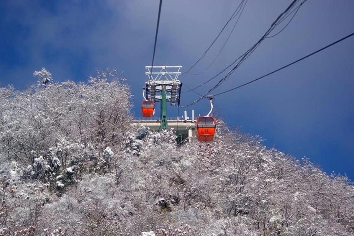 two cable cars on a ski lift over trees