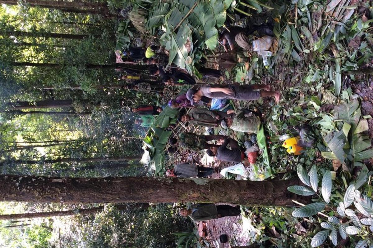 an overhead view of a wall with vegetation and plants