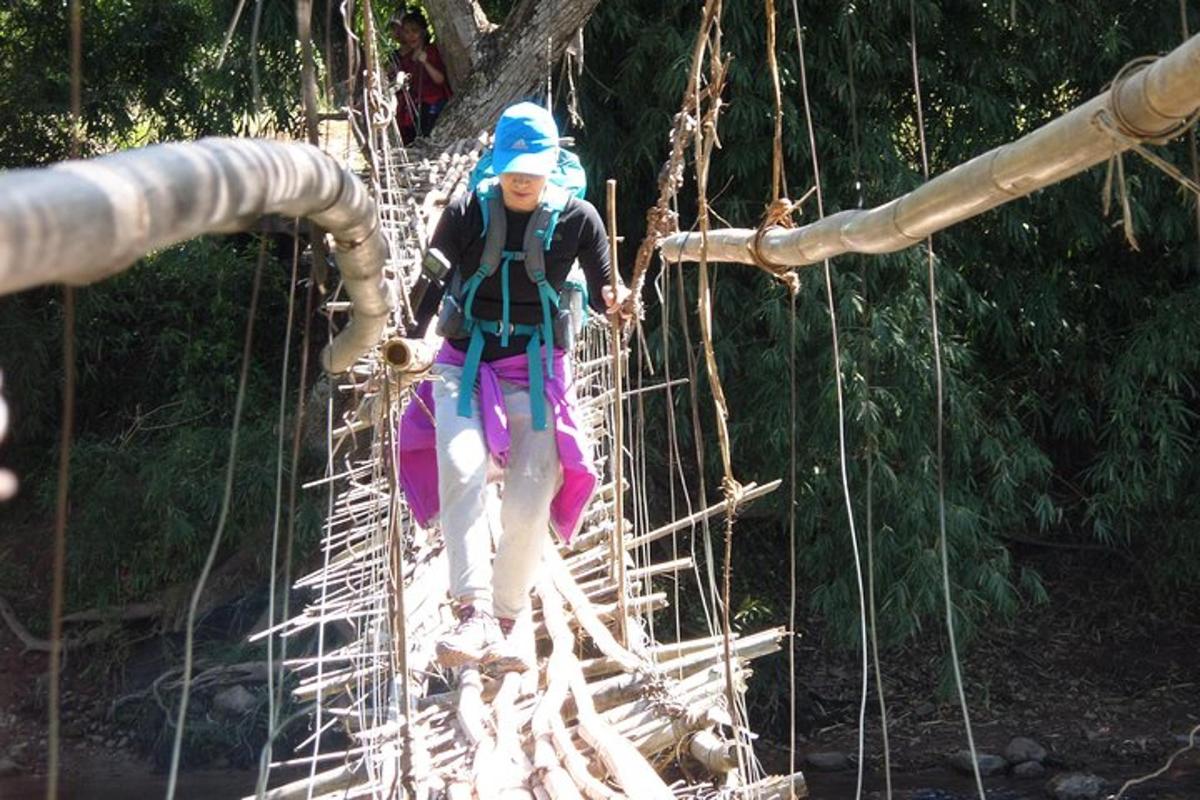 a woman crosses a suspension bridge in the jungle