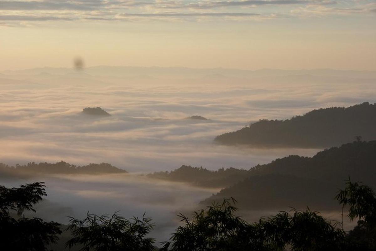 a view of a foggy valley with trees and clouds