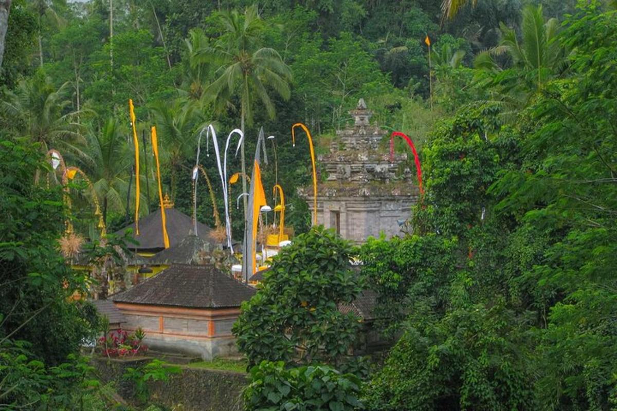 a garden with a statue in the middle of a forest