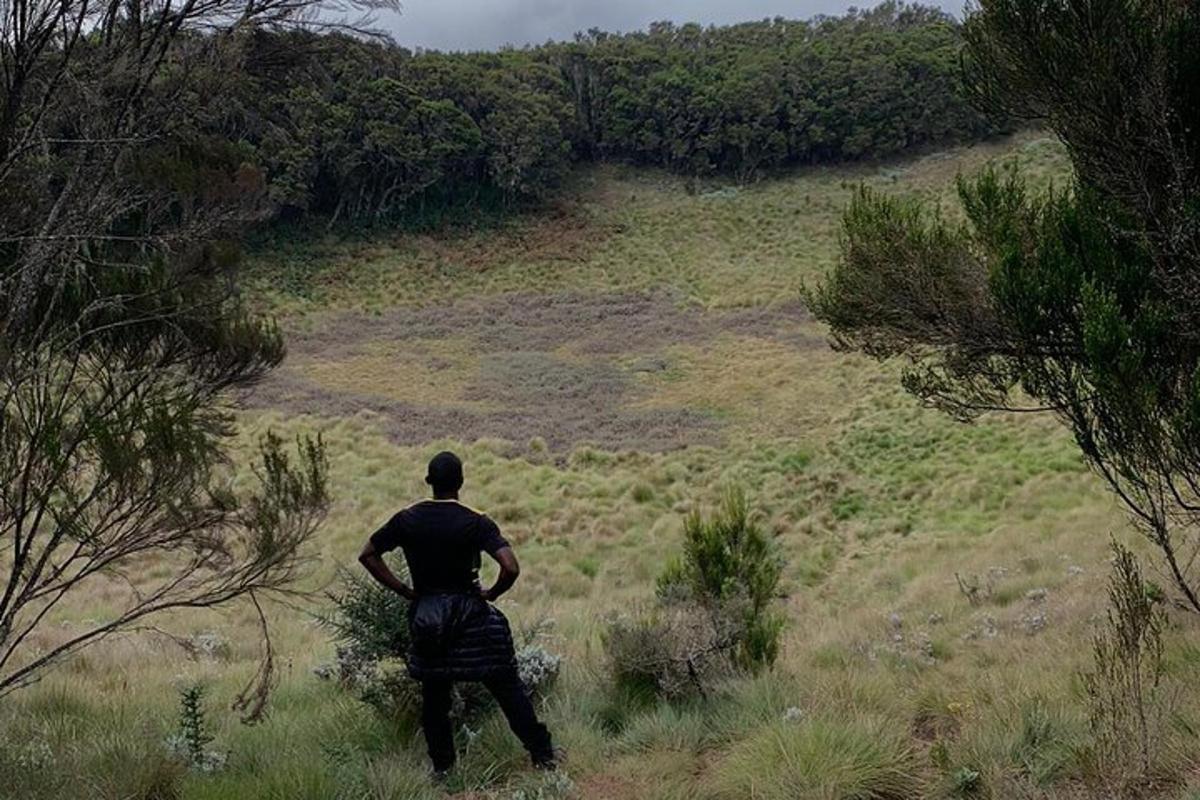 seorang pria berdiri di lapangan sambil melihat ke atas bukit