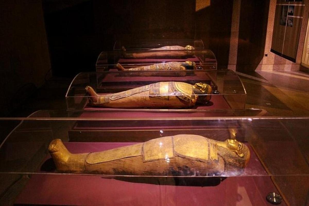uma vitrine com dois artefatos em um museu