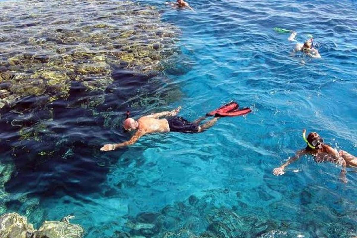 un gruppo di persone che nuotano nell'acqua