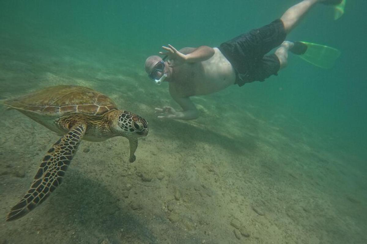 a man swimming next to a turtle in the water