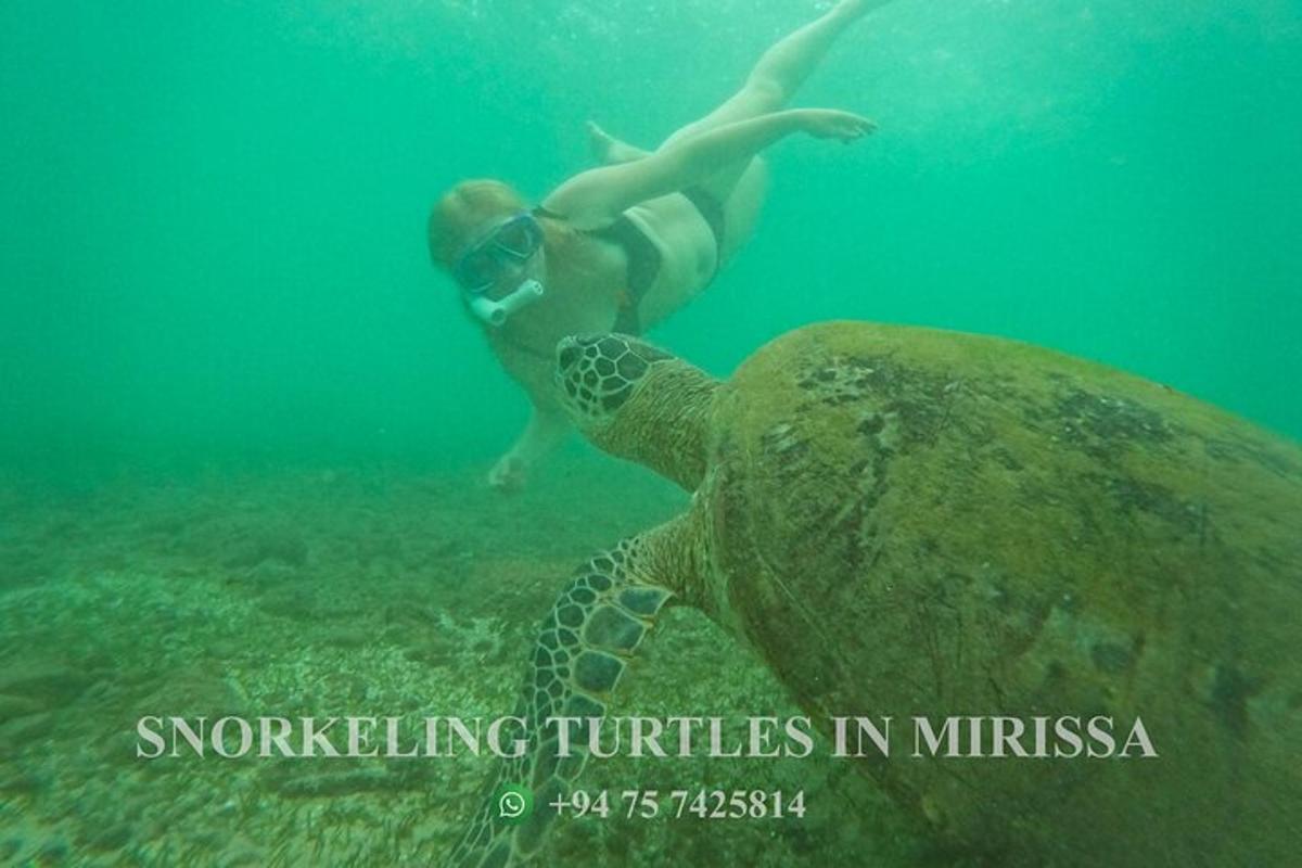 a person swimming in the water next to a turtle