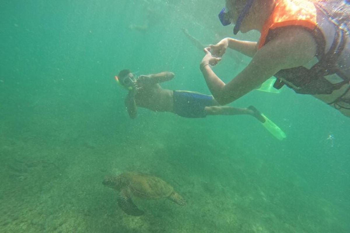 a man taking a picture of a turtle in the water