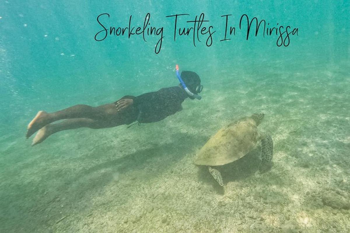 a sea turtle and a man swimming in the water