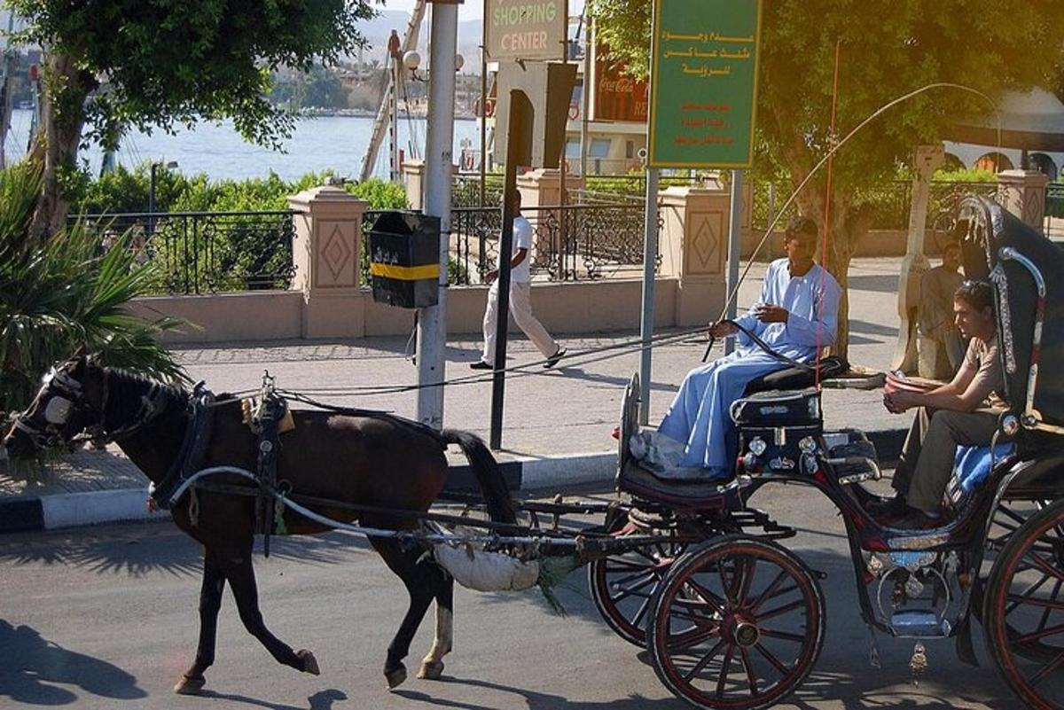ένα άλογο που σέρνει μια άμαξα με δύο άτομα