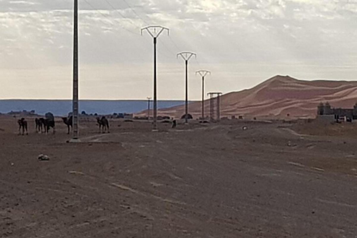 um deserto com cavalos e postes de luz no deserto