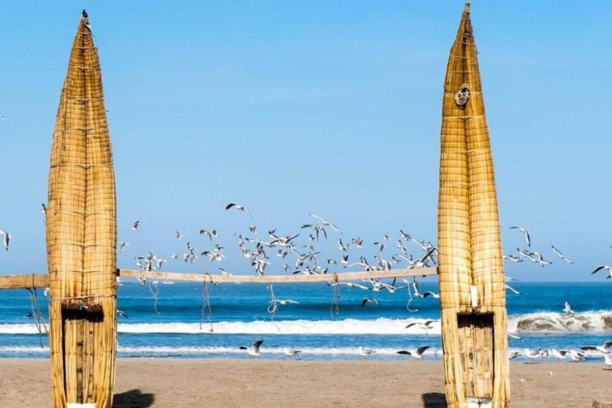 dua payung jerami di pantai dengan sekawan burung