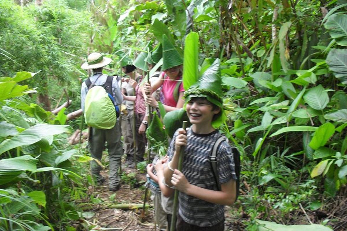 a group of people walking in the jungle
