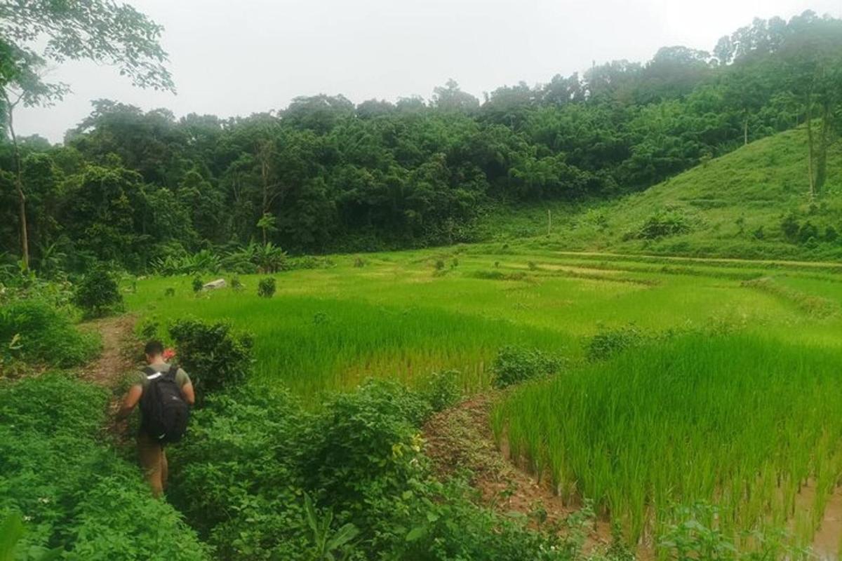 a person walking on a dirt path through a field