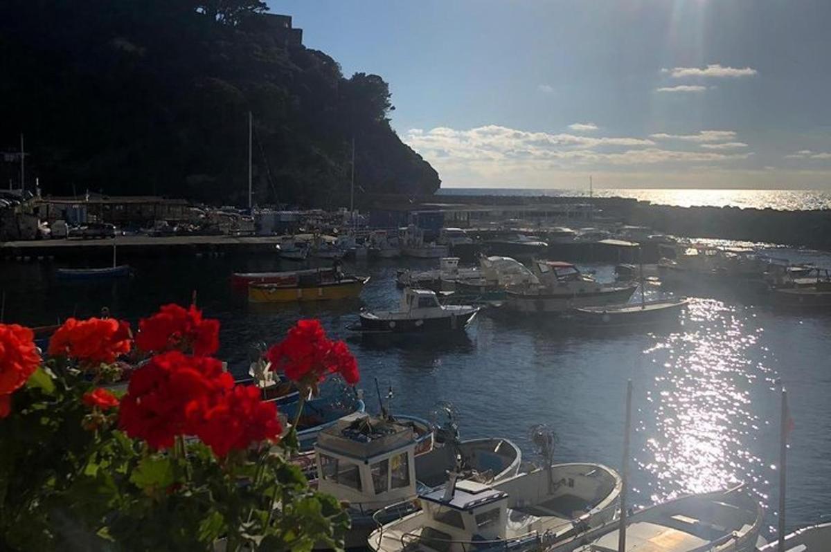 a group of boats docked in a harbor with red flowers